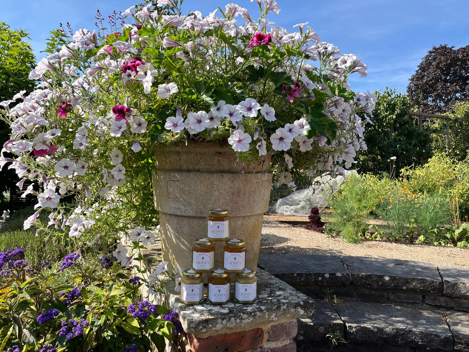 Wildflower Honey